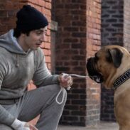 238719I-Play-Rocky-2. 238719I-Play-Rocky-2.